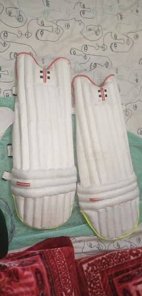 cricket kit 0