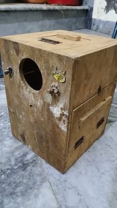 Cockatiel breeding box