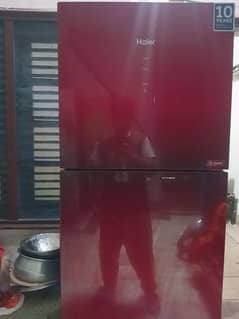 hair Glass inverter Fridge large size