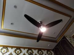 Pak-Fan with light