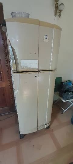 PEL Refrigerator