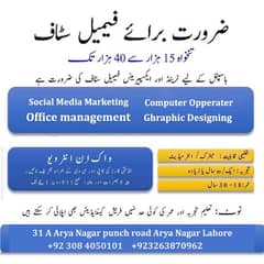 Data entry, Receptionist , Graphic designing, Office work, female staf