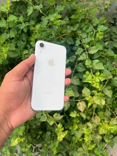 Iphone xr pta aprve jv