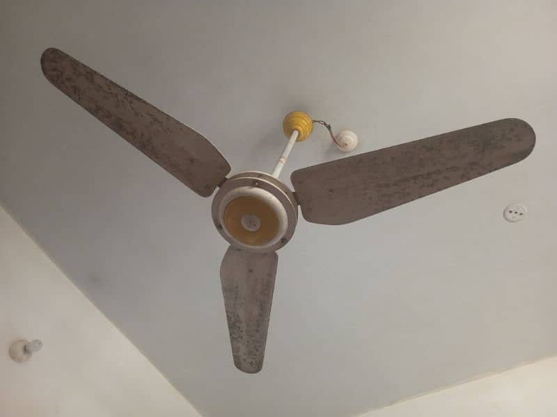 Ceiling Fan 56" AC 220v 0