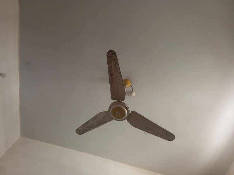 Ceiling Fan 56" AC 220v 1