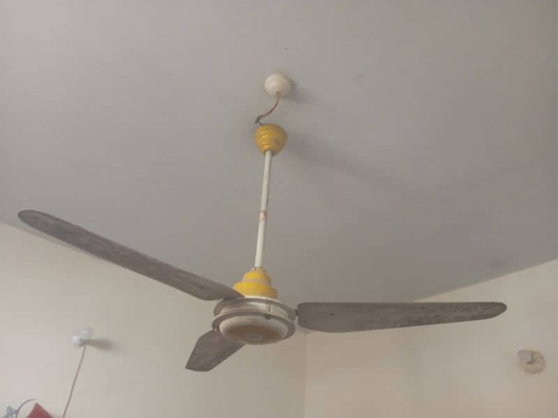 Ceiling Fan 56" AC 220v 2