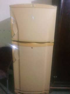 pel fridge 10/10 condition 6 foot height 2 doors