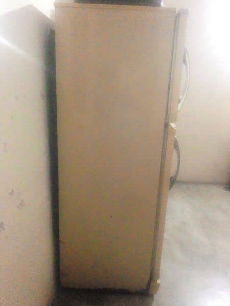 pel fridge 10/10 condition 6 foot height 2 doors 1