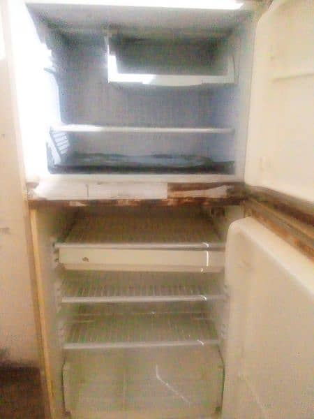 pel fridge 10/10 condition 6 foot height 2 doors 2