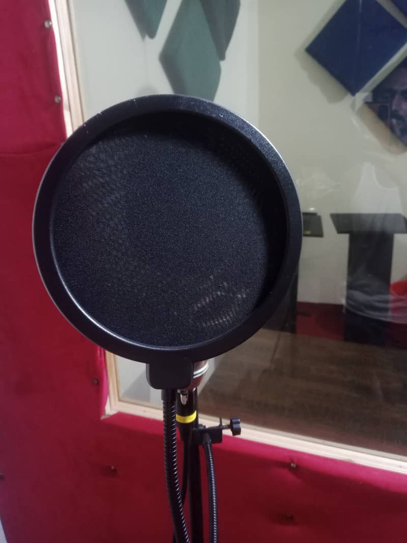 U 87 Professional Studio Condenser Mic  Large Diaphragm 2