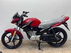 Yamaha YBR ESD 2019