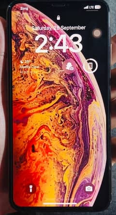 IPhone XS MAX  ( Factory Unlock )