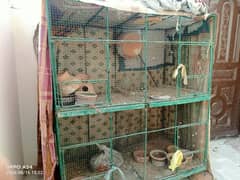 cage for birds