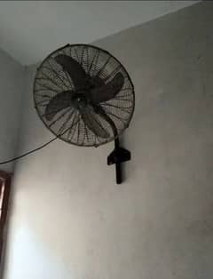 orient wall fan