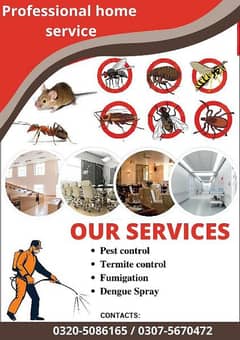 Dengue Mosquito Spray, Deemak Spray, Water Tank Cleaning & Sofa