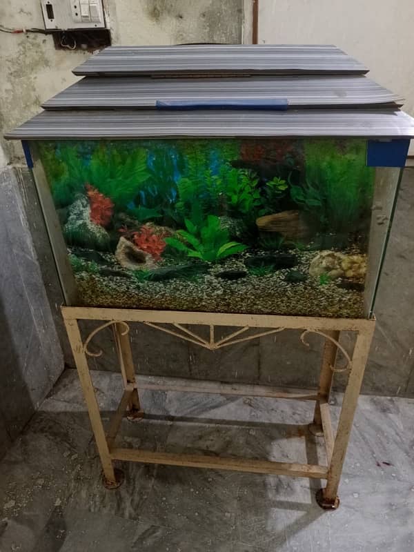 fish aquarium with good quality iron stand 1