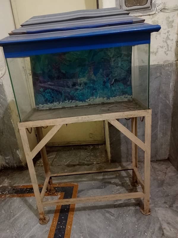 fish aquarium with good quality iron stand 3