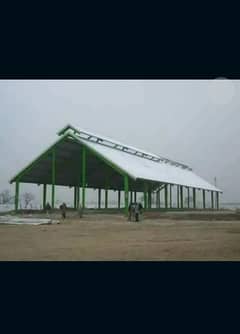 Dairy shed for farm