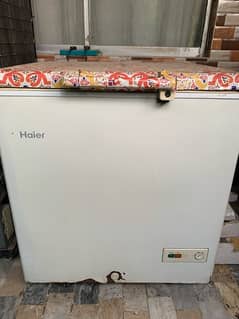 Haier one door freezer