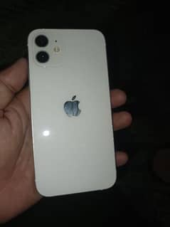 i phone 12 non pta jv white clr urgnt sale