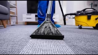 Sofa & Carpet Cleaning, Water Tank Cleaning, Garden Spray