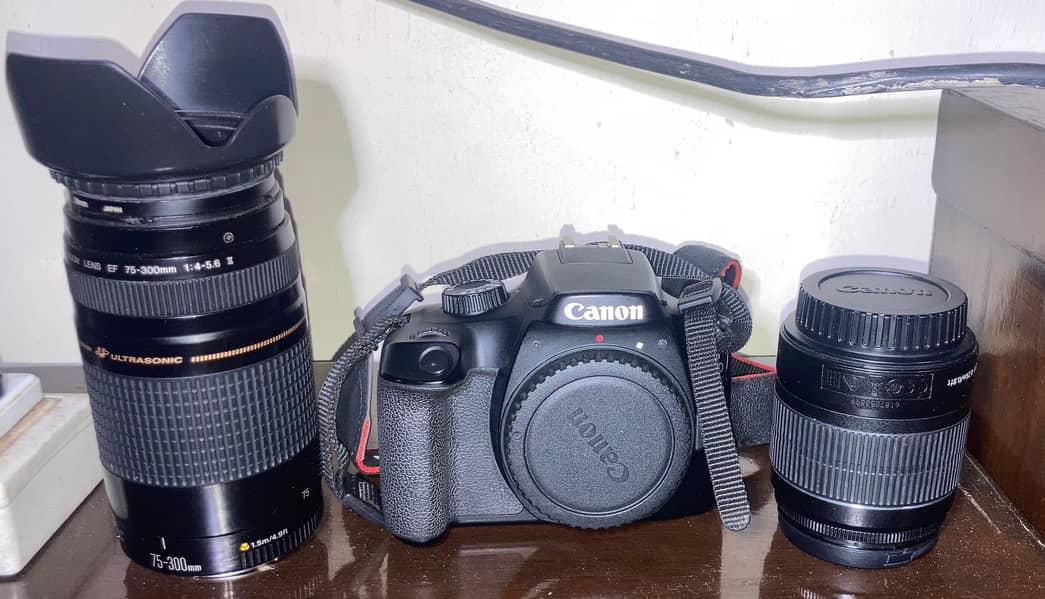 Canon EOS 4000 D | 18-55 mm + 75-300 mm Lense 0