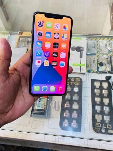 Xs Max 256Gb 89helth waterpack 03155393697 1