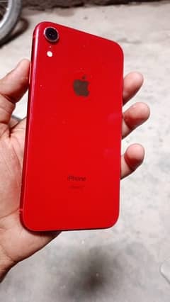 iPhone Xr 03207359807