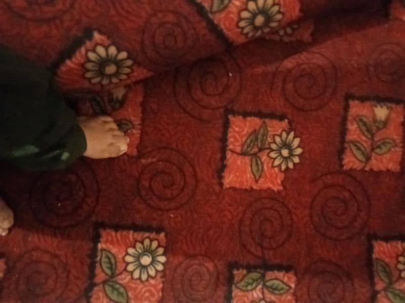 carpet 0