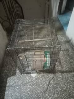 Hen Cage For Parrots And Chicks 0