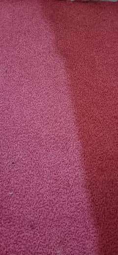 carpet