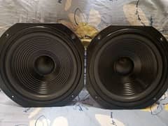 12 inch speaker