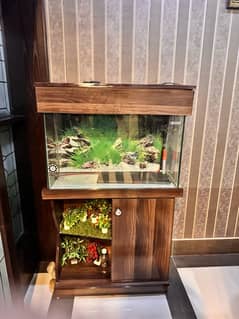 fish aquarium 3ft