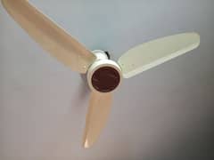 copper ceiling fan