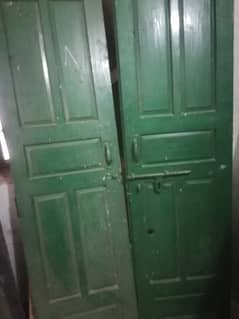 solid wooden door double pala