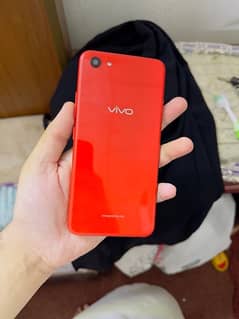 vivo