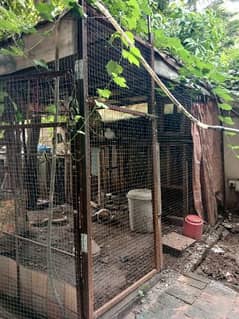 Big cage for sale