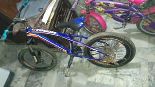 MOUNTAIN Bicycle MORGAN 03153527084