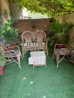 cane garden chairs 2+1 +1 in a throw away price