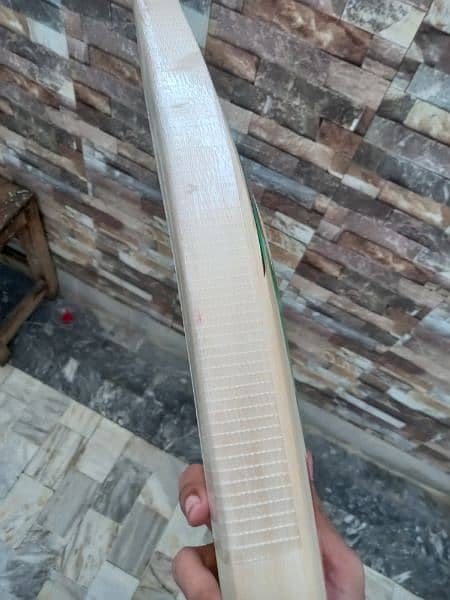 Gray-nicolls hard ball bat babar azam bat 4