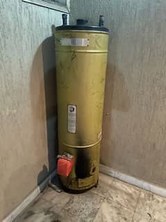 35 Gallon Geyser for Sale