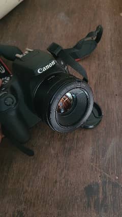 Canon STM lens - 50mm F1.8, 10/10 Condition