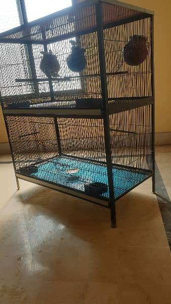 3 pair of finches with cage 0