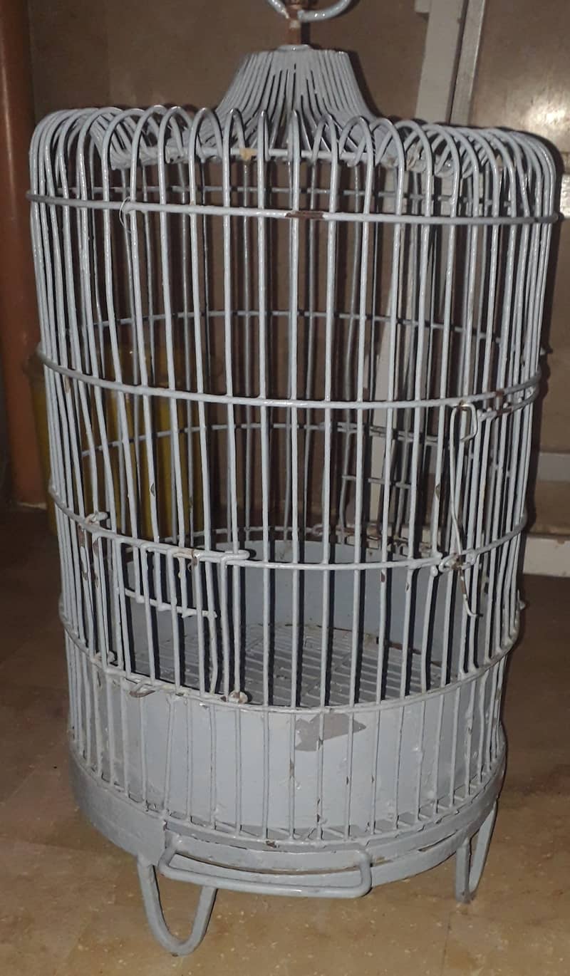 Fancy Parrot cage for Raw and grey parrot 1