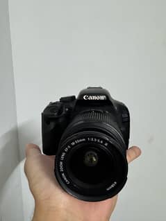 canon d550 with 2 lenses (18-55 and 75-300)