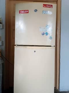 PEL REFRIGERATOR SKIN COLOR