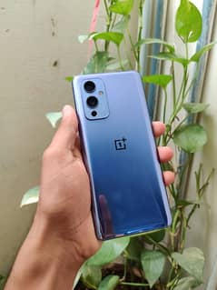 oneplus