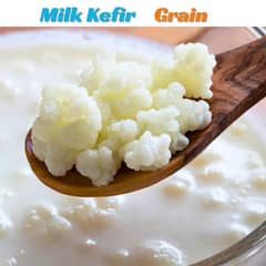 Active Milk Kefir Grains. (Delivery All Pakistan)