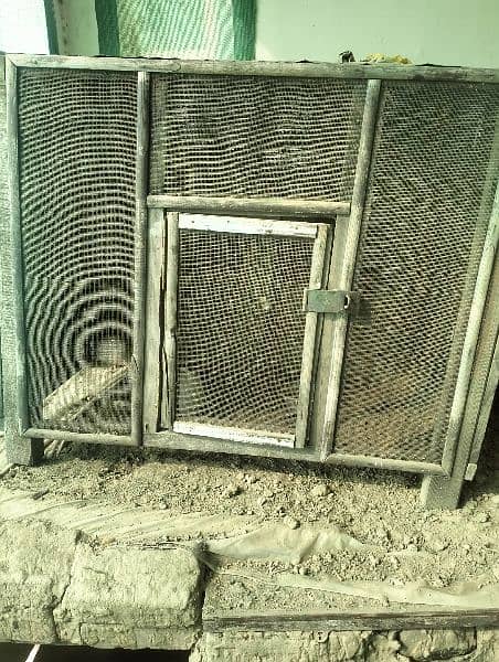 used cage for sale 8