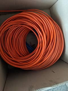 cat 6 double PVC